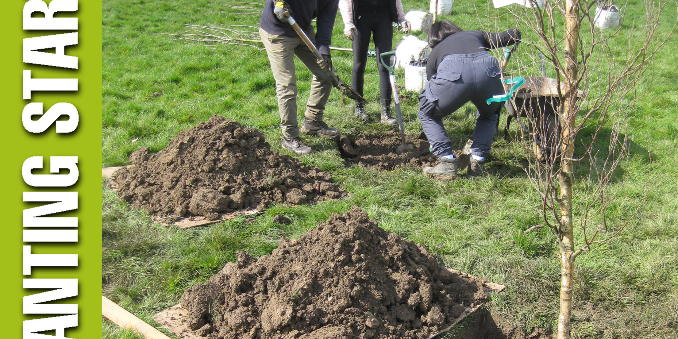 planting starts