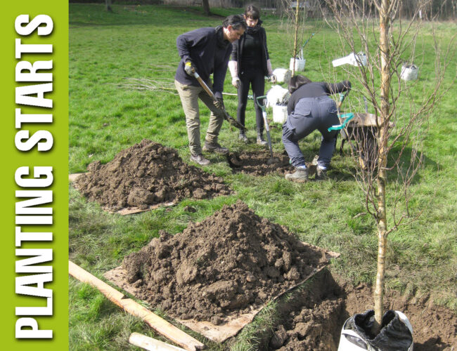 planting starts