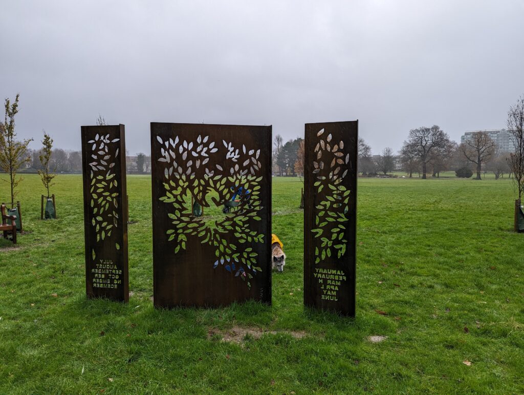 daffodil planting December 2023 with memorial
