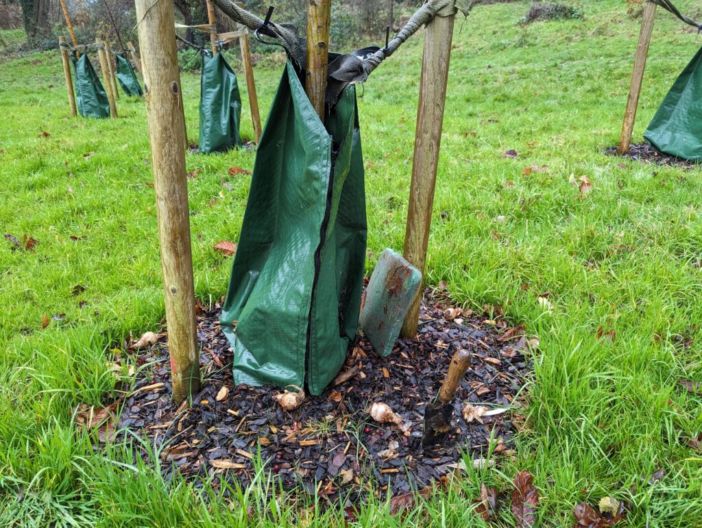 planting in progress