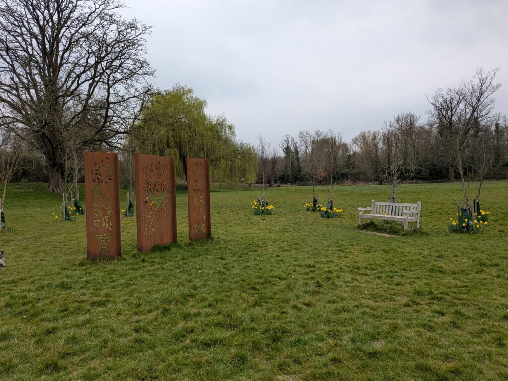 more daffodils at the memorial